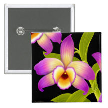 Dendrobium Nobile Orchid Pin