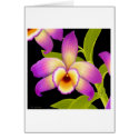 Dendrobium Orchid Flower cards