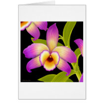 Dendrobium Orchid Flower cards by twopurringcats Dendrobium Orchid Flower cards