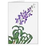Dendrobium Orchid Spray Card