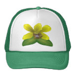 Dendrobium Orchid Trucker Hats