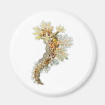 Dendronotus Fridge Magnet