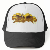 denie hat