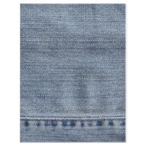 Denim Flier Custom Flyer