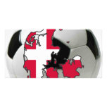 Denmark 2010 picture card
