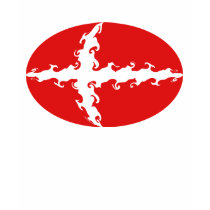 Denmark Gnarly Flag T-Shirt