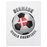 DENMARK SOCCER CHAMPIONS flyers