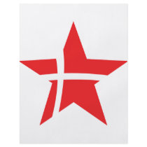 denmark star icon personalized flyer