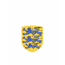 Denmark t-shirts by magarmor Denmark t-shirts