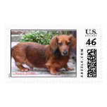 Dennis Marie Stamps