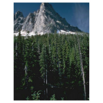 Dense Forest At A Bare Landscape Flyer