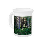 Dense woodland scenes pitchers