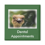 Dental Appointment Magnet