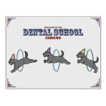 "Dental Circus" Card postcards