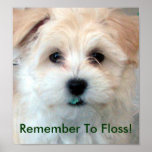 Dental Hygiene Floss Puppy Poster
