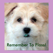 Dental Hygiene Floss Puppy posters