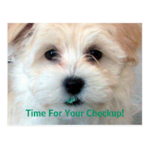 Dental reminder card puppy postcards