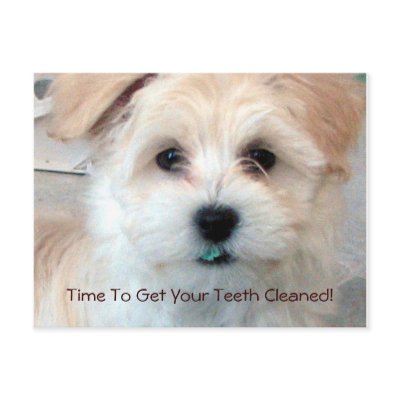 Dental Reminder Postcard by patsarts