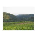 Dentelles de Montmirail Postcard