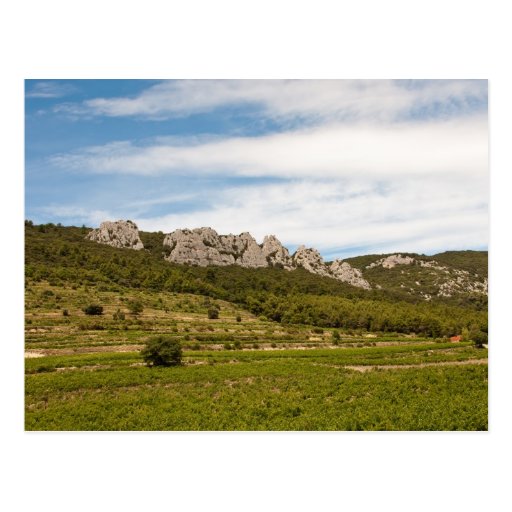Dentelles de Montmirail Postcards
