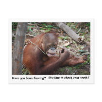 Dentist Appointment Reminder postcards by Rebecca_Reeder Dentist Appointment Reminder postcards