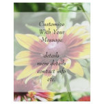 Denver Daisy - Rudbeckia flyers