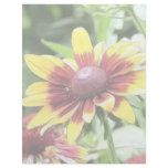 Denver Daisy - Rudbeckia Custom Letterhead