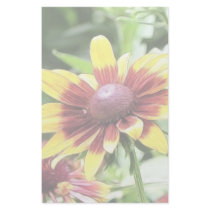 Denver Daisy - Rudbeckia Personalized Stationery