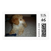 Denver's Profile postage by Juneb606 Denver's Profile postage