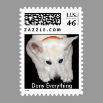 Deny Everything postage by coastalwgs Deny Everything postage