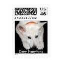 Deny Everything postage