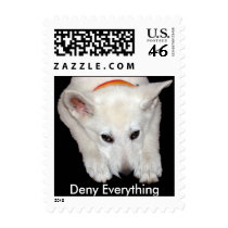 Deny Everything postage by coastalwgs Deny Everything postage