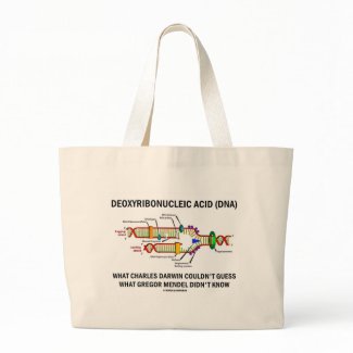 Deoxyribonucelic Acid (DNA) Mendel Darwin bag