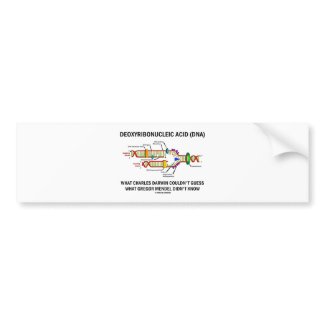 Deoxyribonucelic Acid (DNA) Mendel Darwin bumpersticker