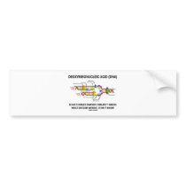 Deoxyribonucelic Acid (DNA) Mendel Darwin Bumper Sticker