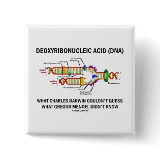 Deoxyribonucelic Acid (DNA) Mendel Darwin button
