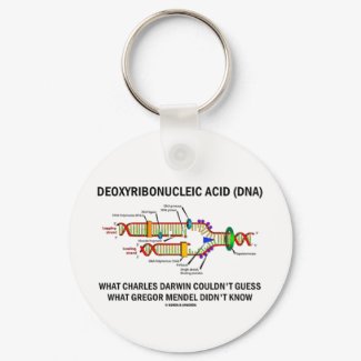 Deoxyribonucelic Acid (DNA) Mendel Darwin keychain