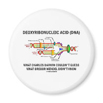 Deoxyribonucelic Acid (DNA) Mendel Darwin Refrigerator Magnets