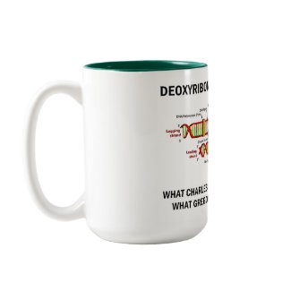Deoxyribonucelic Acid (DNA) Mendel Darwin mug