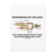 Deoxyribonucelic Acid (DNA) Mendel Darwin Post Card