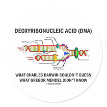 Deoxyribonucelic Acid (DNA) Mendel Darwin Sticker