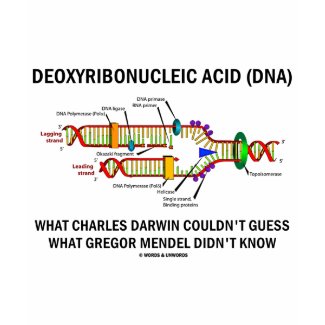 Deoxyribonucelic Acid (DNA) Mendel Darwin shirt