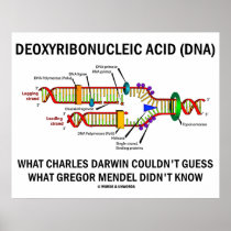 Deoxyribonucleic Acid (DNA) Darwin Mendel Saying Posters
