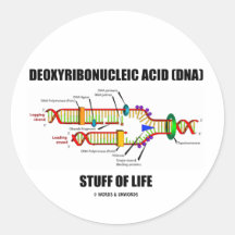 Deoxyribonucleic Acid (DNA) Stuff Of Life Sticker