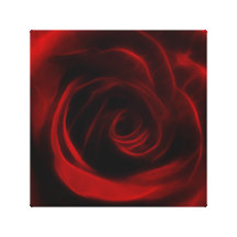 Depth of love red Rose Canvas Print