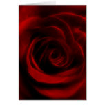 Depth of love red rose greeting card