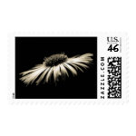Depth of Purity stamp