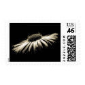 Depth of Purity postage