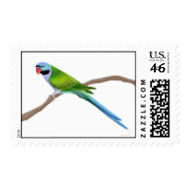 Derbyan Moustache Parakeet Postage postage