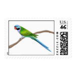 Derbyan Moustache Parakeet Postage postage